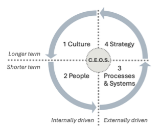 Optimal Business Success Model